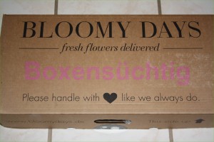 BloomyDays Karton
