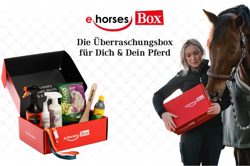 ehorses Box (1)